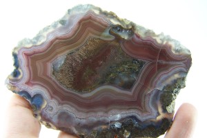 Agate slice from Laguna, Mexico