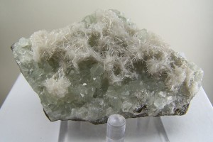 Natrolite on Datolite from Bergen Hill, Hudson Co., New Jersey