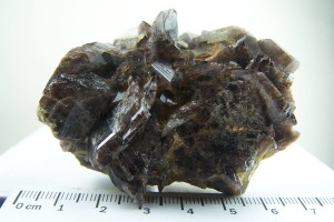 Axinite cluster from Puiva Mount, Prepolar Urals, Urals Region, Russia