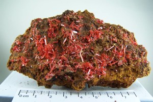 Crocoite specimen from Adelaide Mine, Dundas, Tasmania, Australia