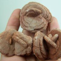 (3) Desert Rose clusters from Norman Oklahoma!