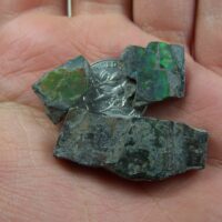 (3) Opalized “Ammolite” Ammonite fossil specimens from Alberta, Canada