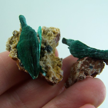 (2) Fibrous Malachite specimens from Morocco