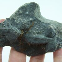 Staurolite crystals in matrix from Connecticut