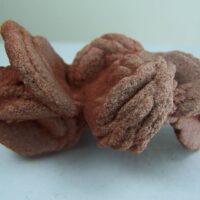 Desert Rose (Barite) cluster from Norman Oklahoma!