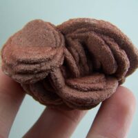 Desert Rose clusters from Norman Oklahoma!