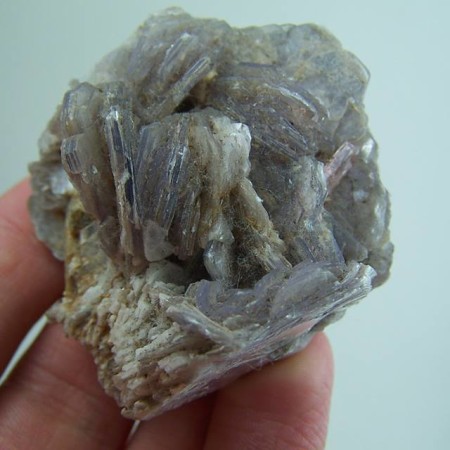 Tourmaline on Lepidolite from Minas Gerais, Brazil