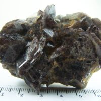 Axinite cluster from Puiva Mount, Prepolar Urals, Urals Region, Russia