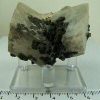 Calcite crystals on Mottramite from Tsumeb Mine, Tsumeb, Otjikoto region, Namibia