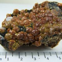Mimetite var. Campylite crystals on Coronadite and Quartz from Drygill Mine, Caldbeck Falls, Cumberland, England