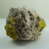 Mimetite on matrix from San Pedro Mine, San Pedro Corralitos, Chihuahua, Mexico