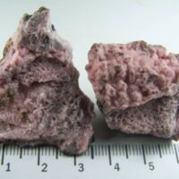 (2) Rhodochrosite specimen from N'Chwaning Mines, Kalahari Manganese Field, South Africa