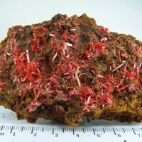 Crocoite specimen from Adelaide Mine, Dundas, Tasmania, Australia