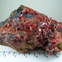 Crocoite specimen from Adelaide Mine, Dundas, Tasmania, Australia