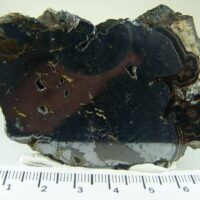 “Schalenblende” slice from Weisloch, Baden, Germany
