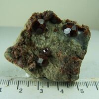 Grossular Garnet on Diopside from Eden Mills, VAG Quarry, Vermont