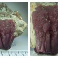 “Mushroom” Rubellite Tourmaline on matrix from Myanmar (Burma)