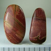 (2) Cherry Creek Jasper pendants from Cherry Creek Mine, China