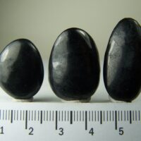 (3) polished Shungite specimens from Lake Onega Russia