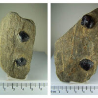 (2) Almandine Garnet crystals in Schist specimens from China