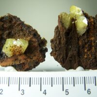 (2) Adamite specimens from Ojuela Mine, Mapimi, Durango, Mexico