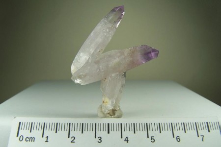 Amethyst cluster from Las Vigas, Veracruz, Mexico